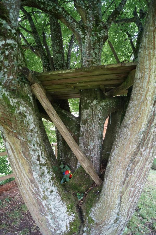 Gite De 15 Places En Chambre De 2, 4, 5 Personnes Saint-Exupery-les-Roches Exterior photo